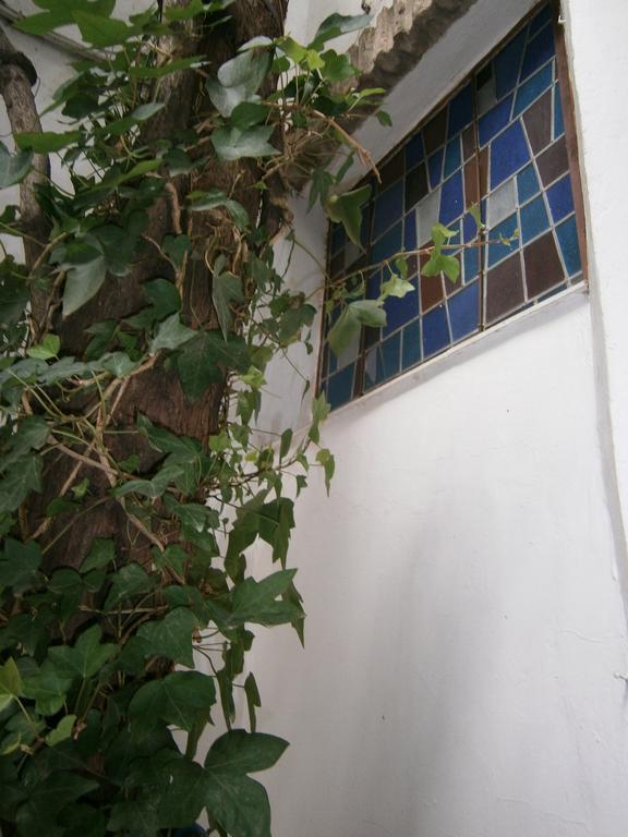 Hotel Albucasis Cordoba Exterior photo