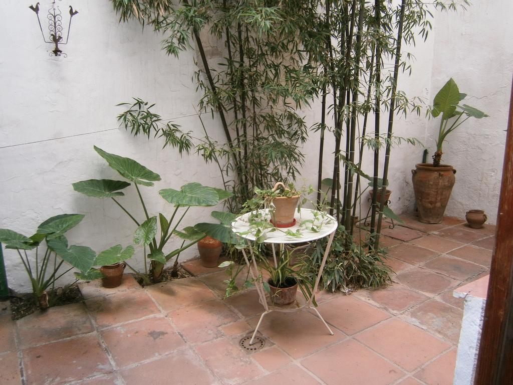 Hotel Albucasis Cordoba Exterior photo